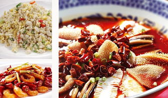 深圳市巴蜀风饮食管理图册 餐饮管理的艺术与实践